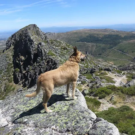 Vivenda A Nossa Coroa * Arganil